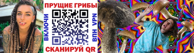 Псилоцибиновые грибы Psilocybine cubensis  Купить  Соликамск